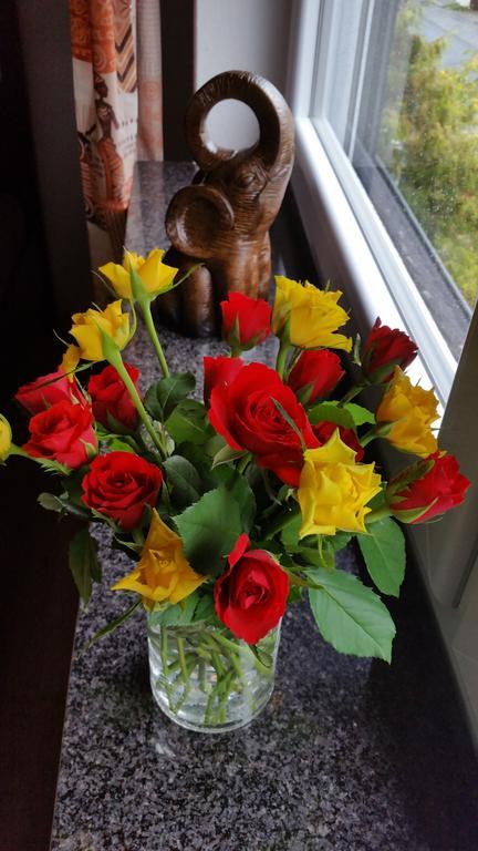 Homestay Christianes Gaestehaus Dusseldorf